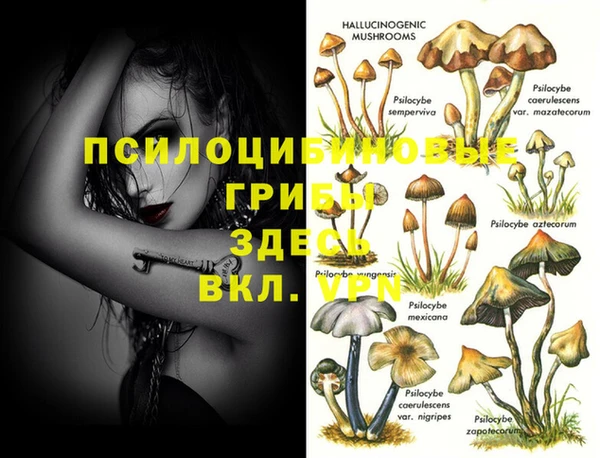 твердый Кодинск