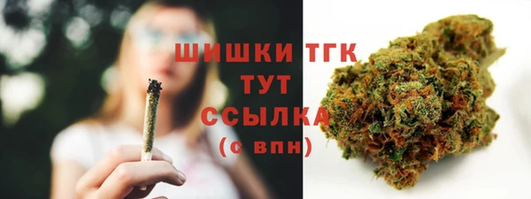 гидра Козельск