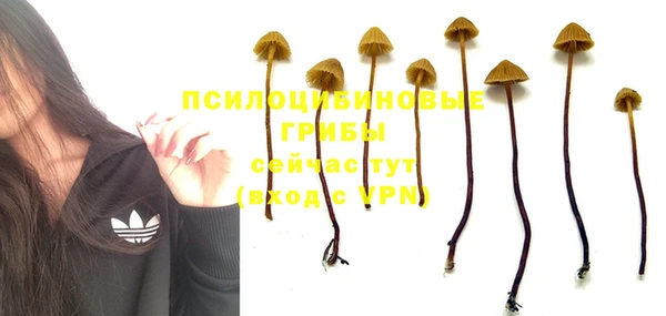 дмт Киреевск