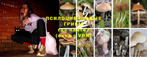 амф Козловка