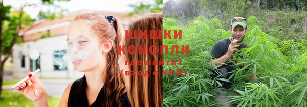 гидра Козельск