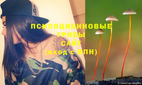 твердый Кодинск