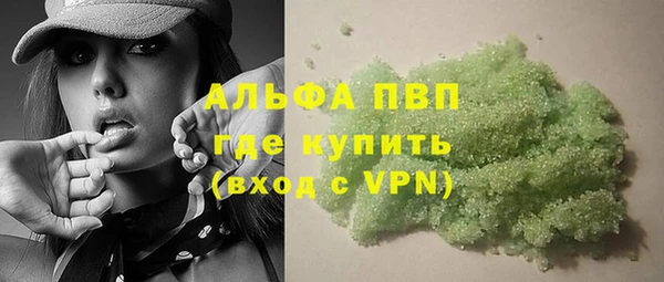 амф Козловка