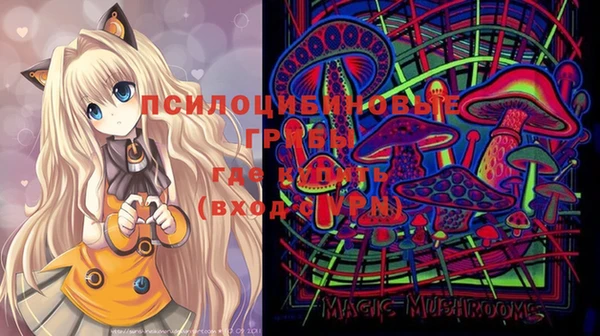 стафф Кинешма