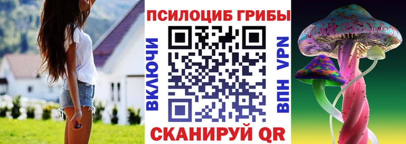 Купить закладки  Кизляр  Псилоцибиновые грибы Magic Shrooms 