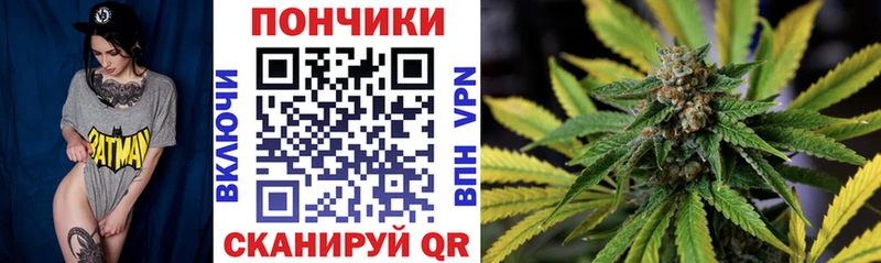 Бошки Шишки ГИДРОПОН  Купить  Кизляр 